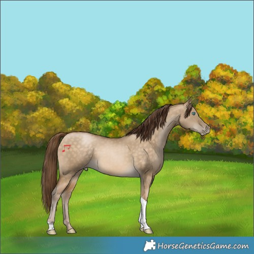 Horse Color:Buckskin Pearl Dun Tobiano 