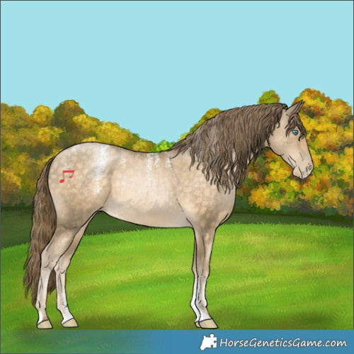 Horse Color:Powder White Buckskin Pearl Rabicano 