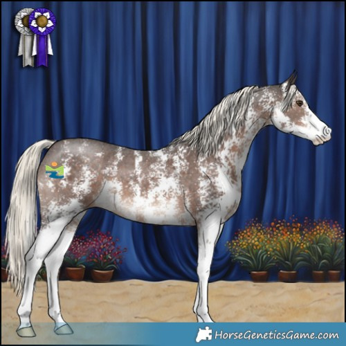 Horse Color:Liver Chestnut Mushroom Sabino 