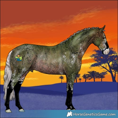 Horse Color:Watercolor Silver Brown Ice Sabino Rabicano 