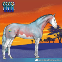 Horse Color:Watercolor Bay Sabino Splash