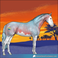 Horse Color:Watercolor Bay Sabino Splash