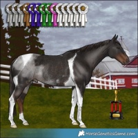 Horse Color:Liver Chestnut Tobiano Rabicano