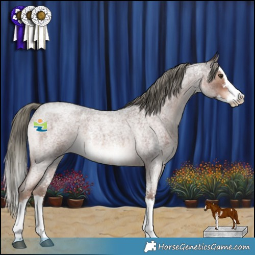 Horse Color:Liver Red Roan Mushroom Sabino Splash 