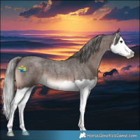 Horse Color:Liver Red Roan Mushroom Splash