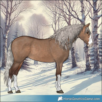 Horse Color:Silver Brown Dun 