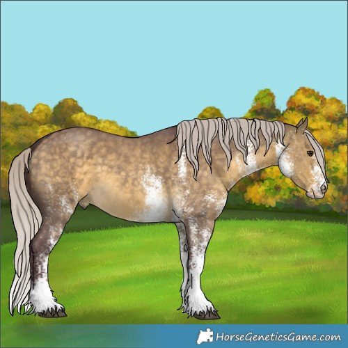 Horse Color:White Spotted Chocolate Silver Buckskin Dun 