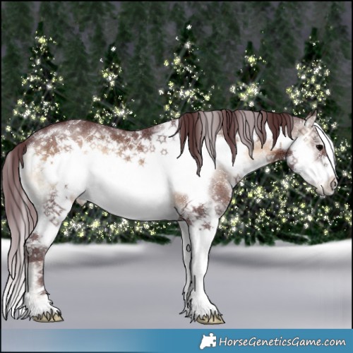 Horse Color:White Spotted Chocolate Brown Onyx Sabino Frame 