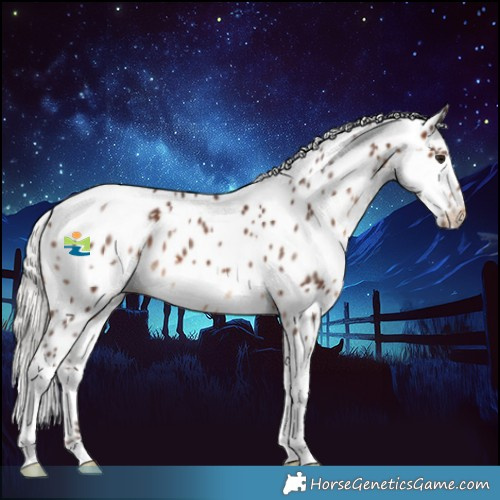 Horse Color:White Spotted Silver Brown Tobiano Appaloosa 