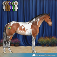Horse Color:White Spotted Brown Tobiano