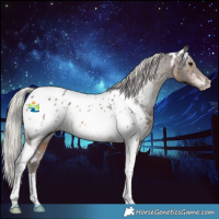 Horse Color:White Spotted Silver Brown Tobiano Near Leopard