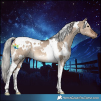 Horse Color:White Spotted Silver Brown Dun Tobiano 