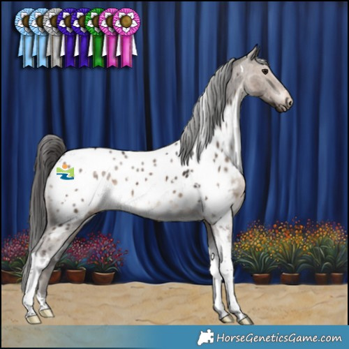 Horse Color:White Spotted Brown Dun Tobiano Appaloosa 