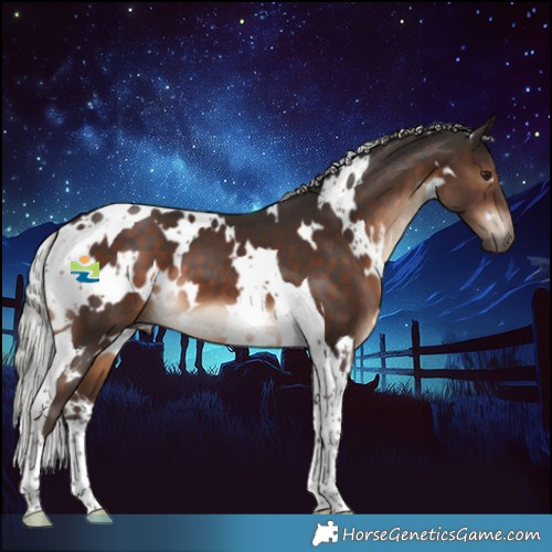 Horse Color:White Spotted Silver Brown Tobiano 
