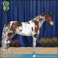 Horse Color:White Spotted Silver Brown Tobiano 
