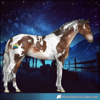 Horse Color:White Spotted Silver Brown Tobiano 