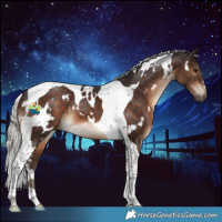 Horse Color:White Spotted Silver Brown Tobiano 