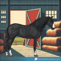 Horse Color:Black 