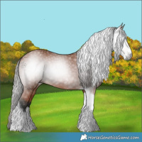 Horse Color:Gray Bay Splash Tobiano