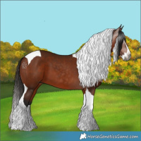Horse Color:Gray Bay Splash Tobiano 