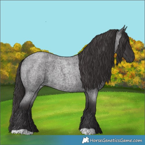 Horse Color:Smoky Blue Roan