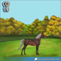 Horse Color:Silver Brown 