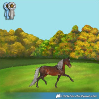 Horse Color:Silver Brown