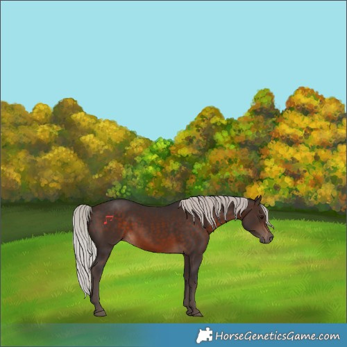 Horse Color:Silver Brown 