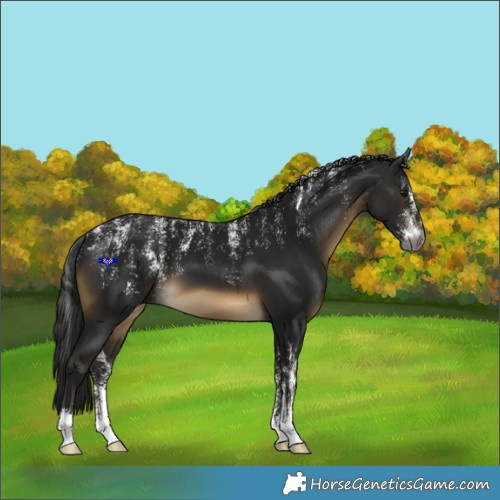 Horse Color:Powder White Gray Buckskin 