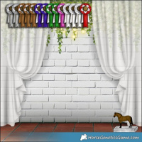 Horse Color:Grullo Appaloosa Brindle  and Liver Red Dun Appaloosa Brindle 