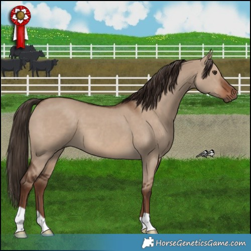 Horse Color:Liver Red Dun 