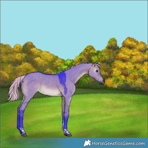 Horse Color:Gray Watercolor Silver Brown Dun Tobiano 