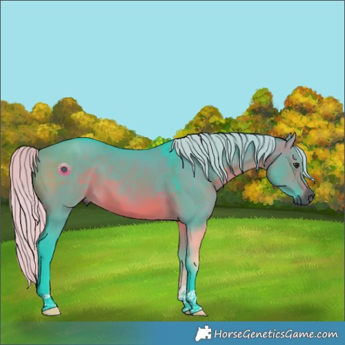 Horse Color:Gray Watercolor Silver Brown Dun Tobiano 