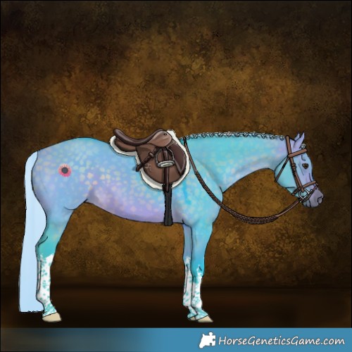 Horse Color:Watercolor White Spotted Silver Bay Dun Tobiano
