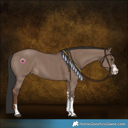 Horse Color:Liver Red Dun Sabino 