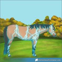 Horse Color:Thunderstruck Bay Dun 