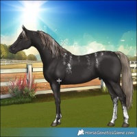 Horse Color:Powder White Liver Chestnut 