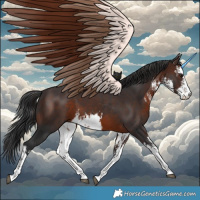 Horse Color:White Spotted Brown 