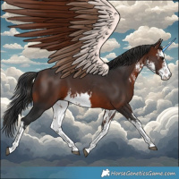 Horse Color:White Spotted Brown 