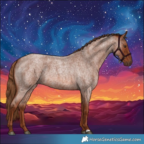 Horse Color:Red Roan 