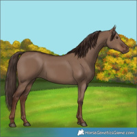 Horse Color:Liver Red Dun 