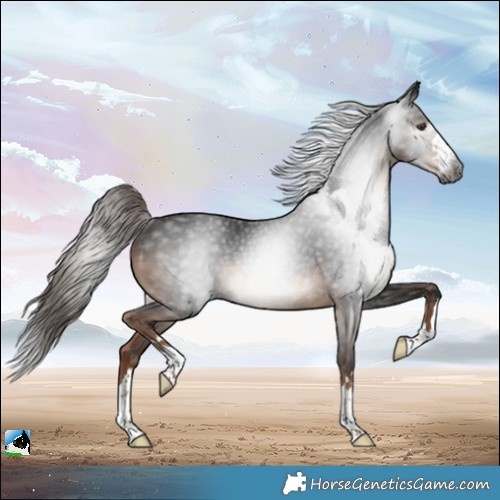 Horse Color:Gray Liver Chestnut Rabicano