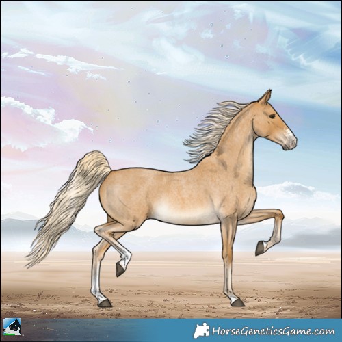 Horse Color:Palomino Roan Sabino Rabicano