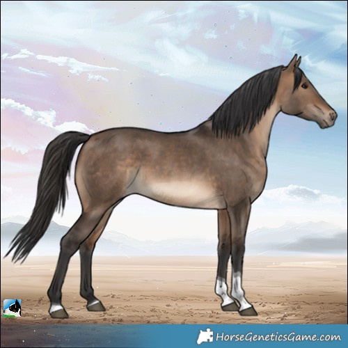 Horse Color:Brown Dun Tobiano Rabicano 