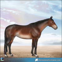 Horse Color:Brown 