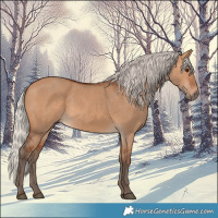 Horse Color:Silver Bay Dun 