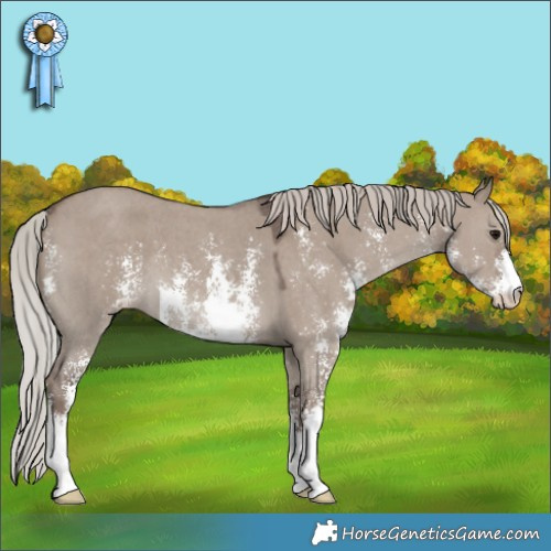 Horse Color:Silver Grullo Sabino 