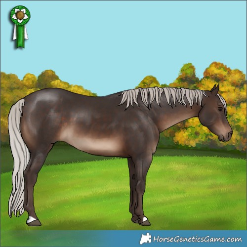 Horse Color:Silver Brown 