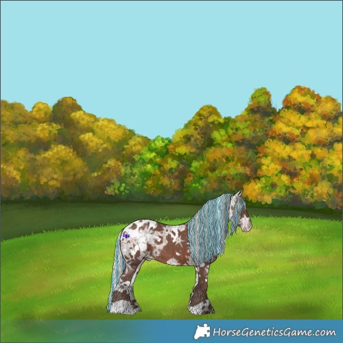 Horse Color:Painted White Spotted Silver Black Ice Appaloosa 