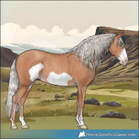 Horse Color:Silver Sable Champagne Frame 